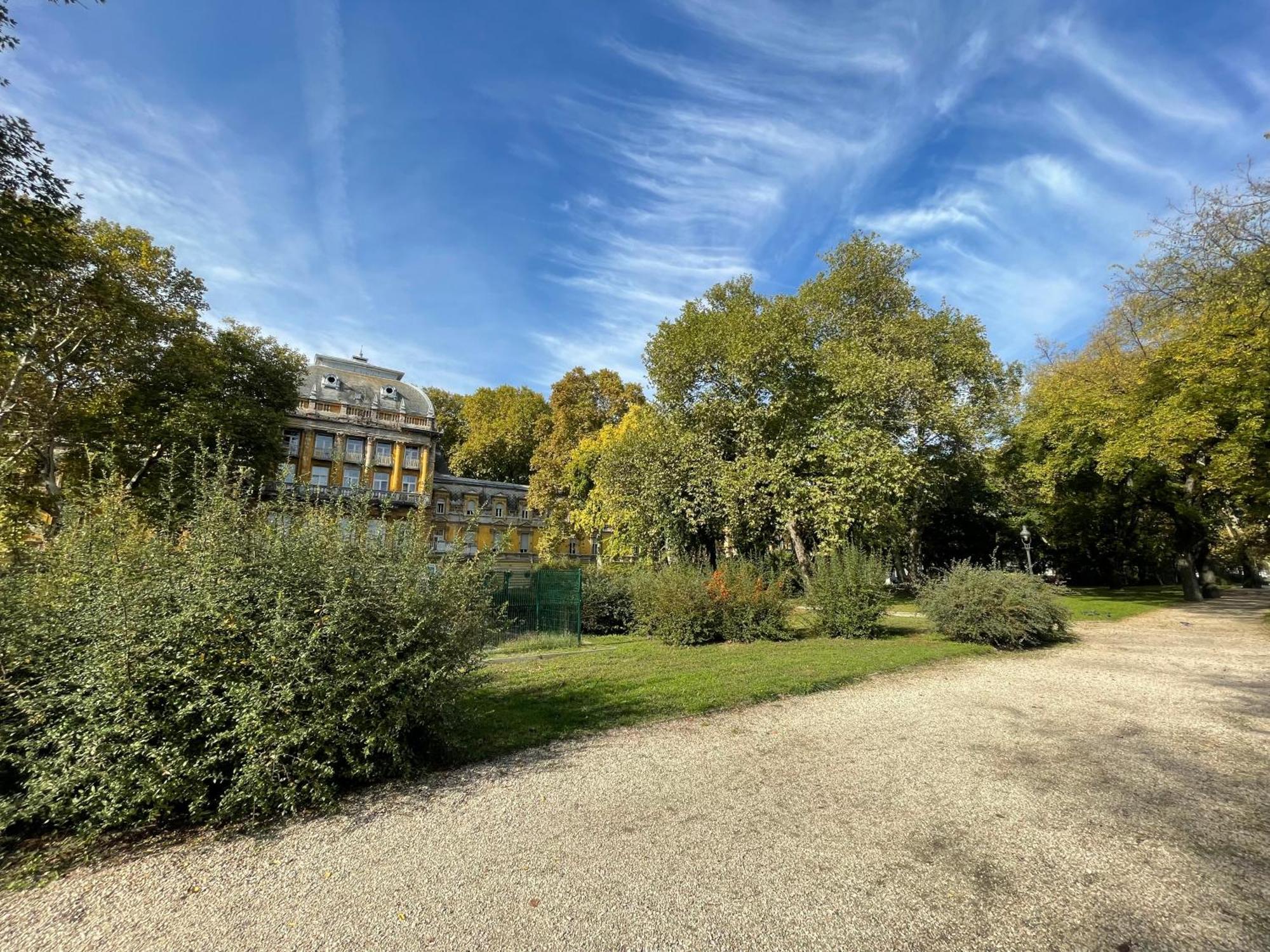 Margaret Apartment Next To The Lukacs Spa With Panorama Danube Boedapest Buitenkant foto