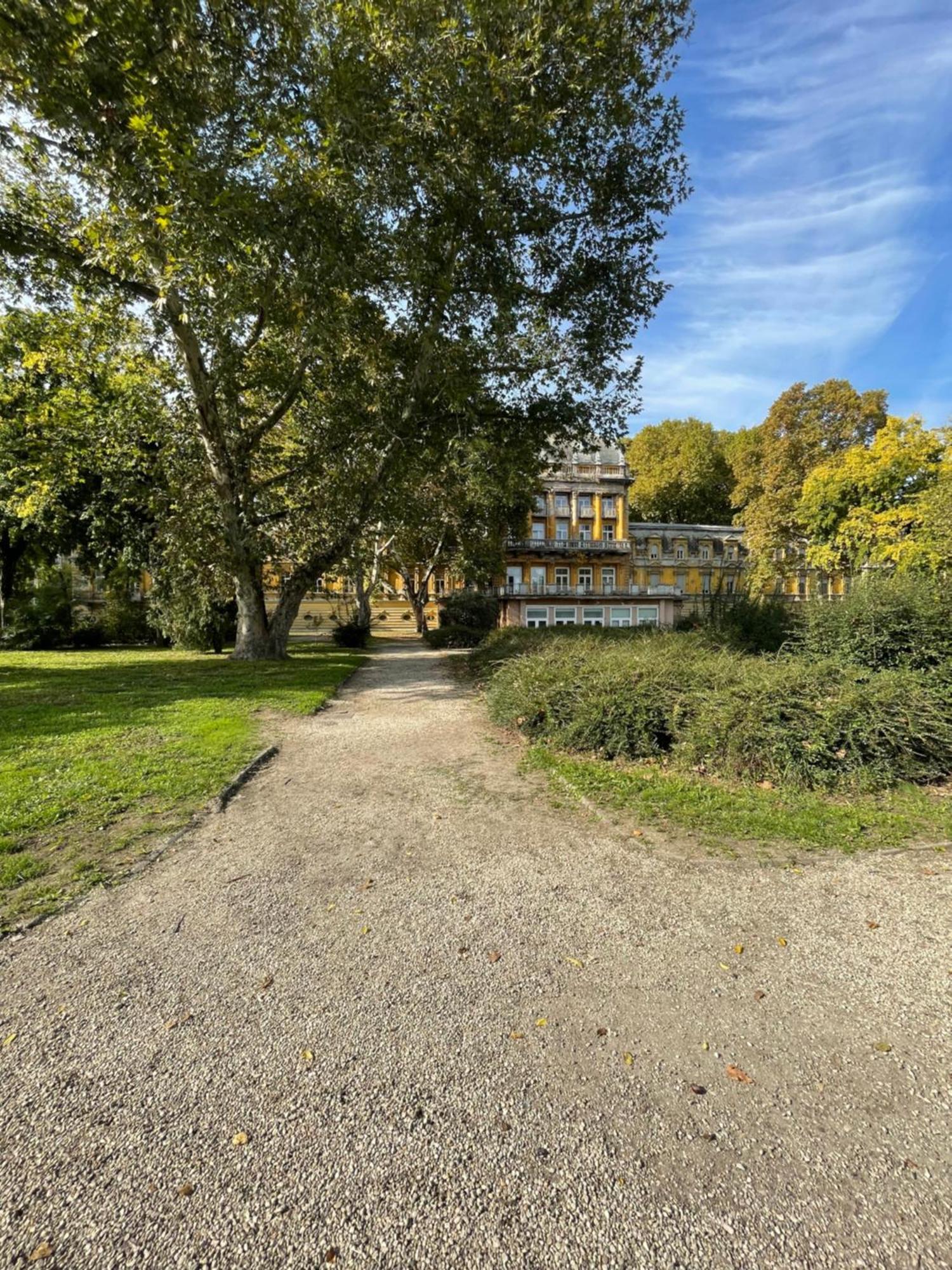 Margaret Apartment Next To The Lukacs Spa With Panorama Danube Boedapest Buitenkant foto
