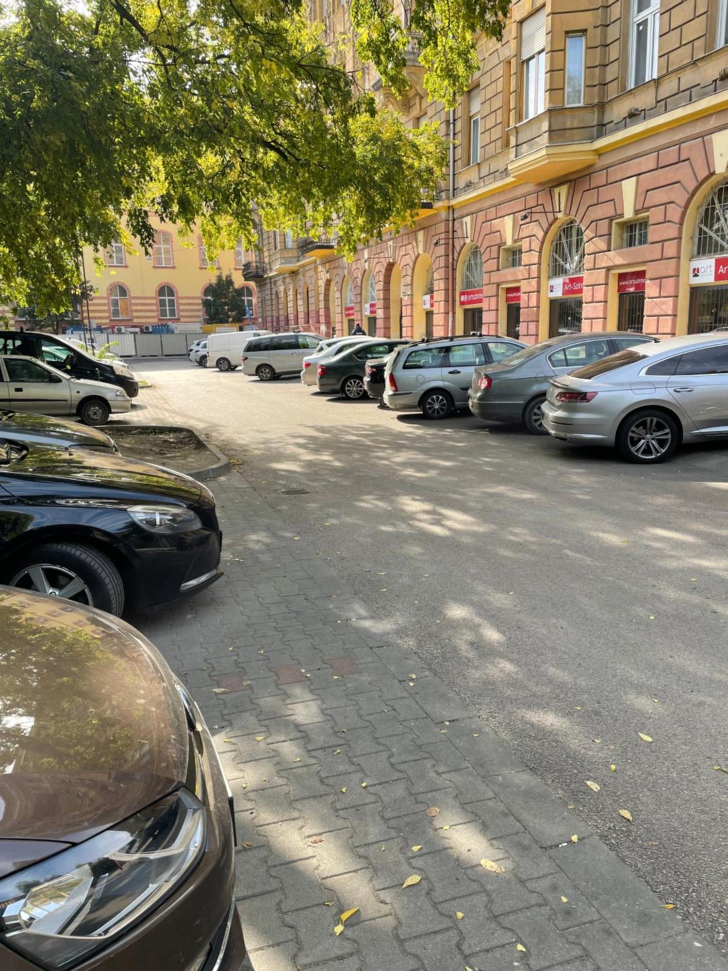 Margaret Apartment Next To The Lukacs Spa With Panorama Danube Boedapest Buitenkant foto